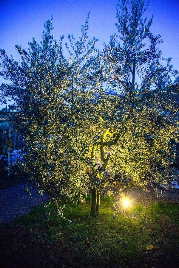 Agriturismo I Roseti Montepulciano Bagian luar foto