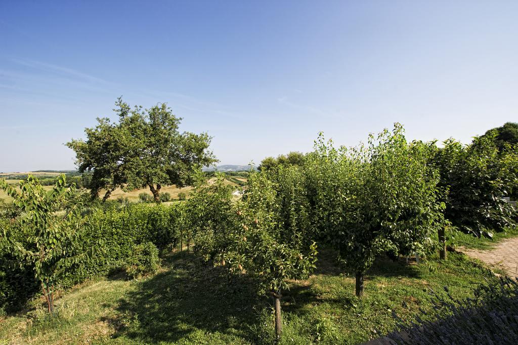 Agriturismo I Roseti Montepulciano Ruang foto