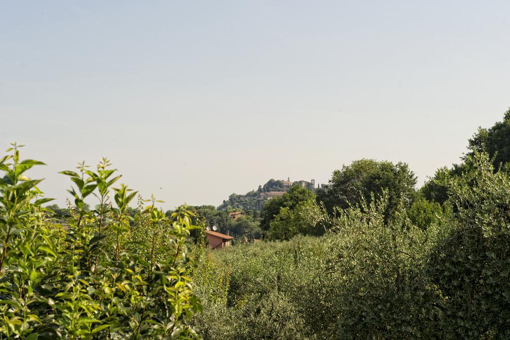 Agriturismo I Roseti Montepulciano Ruang foto