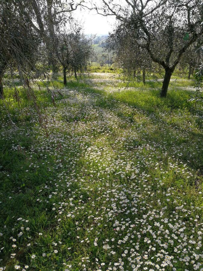 Agriturismo I Roseti Montepulciano Bagian luar foto