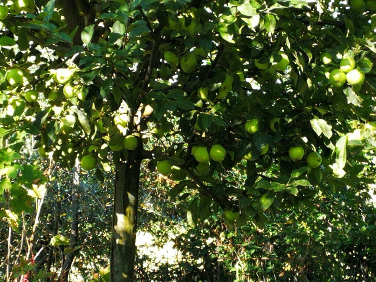 Agriturismo I Roseti Montepulciano Bagian luar foto